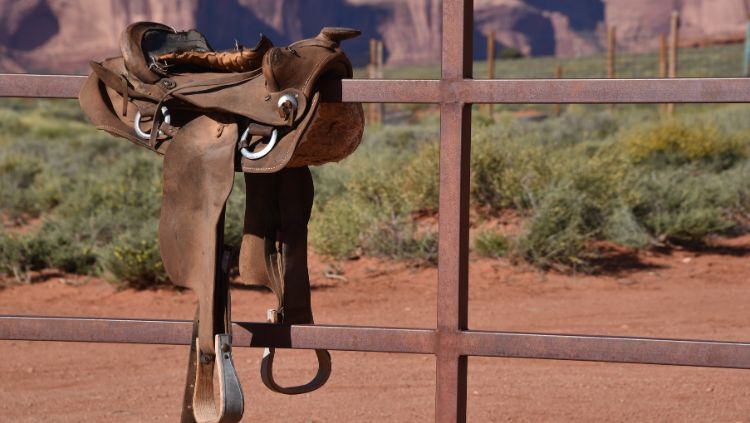 Image of saddle on fence