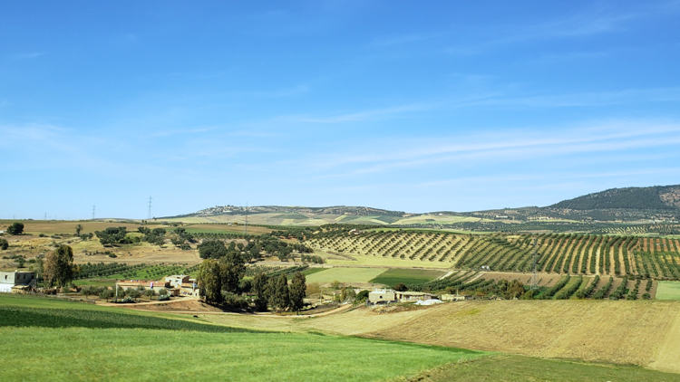 farm land, benefits of a coach tour