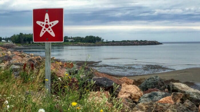 acadian-coastal-trail