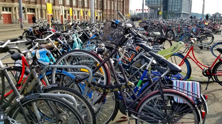 bikes in amsterdam