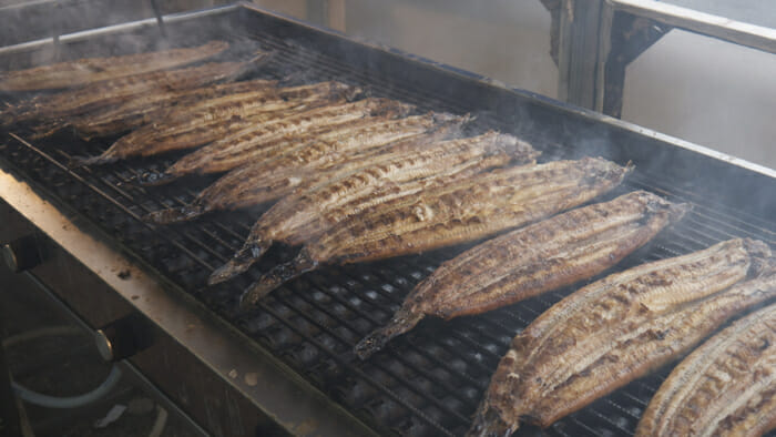 The very small town of Comacchio has an eel festival every year.