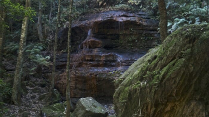 Nearing the top of the Fuber steps is this dramatic, natural face in the stone structure.