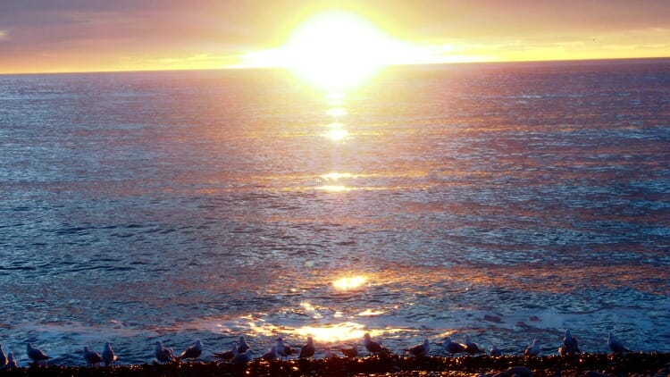 photo, image, beach, kaikoura, new zealand