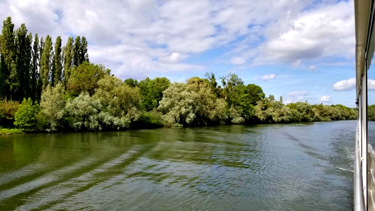 view of trees along the banks of the Seine