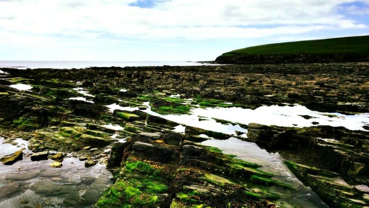 photo, image, Brough of Birsay, scotland