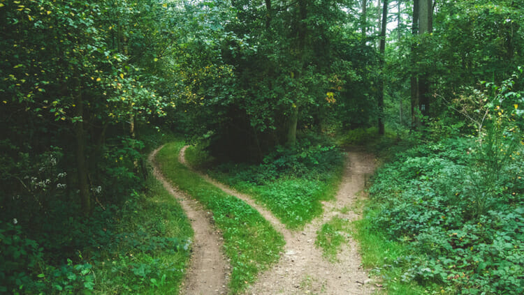 photo, image, fork in the road, essential life skills