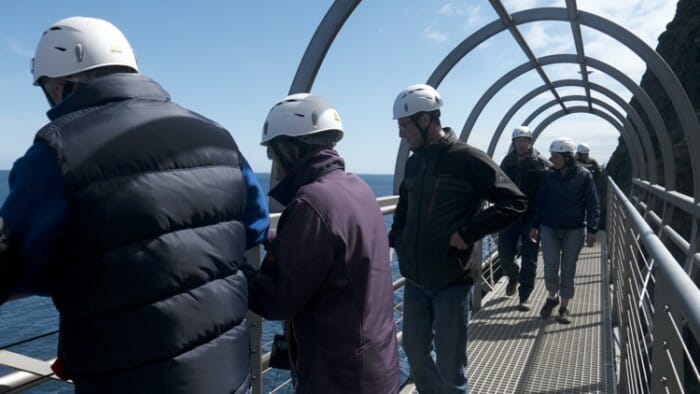 The entire walk including bus to the starting point and return takes about three hours. The guide stops along the way giving commentary on the history, flora and fauna of The Gobbins. 