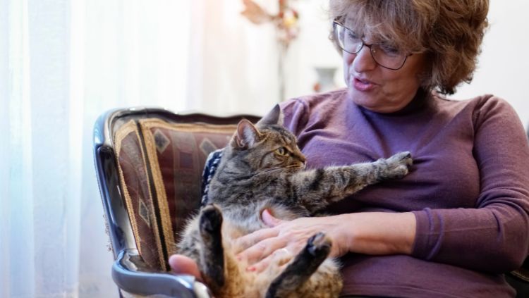 solo house sitter cuddling a cat