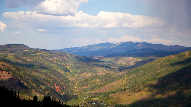 vail, colorado, summer scene