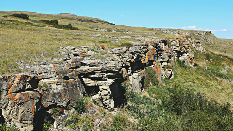 photo, image, head smashed in, western canada road trip