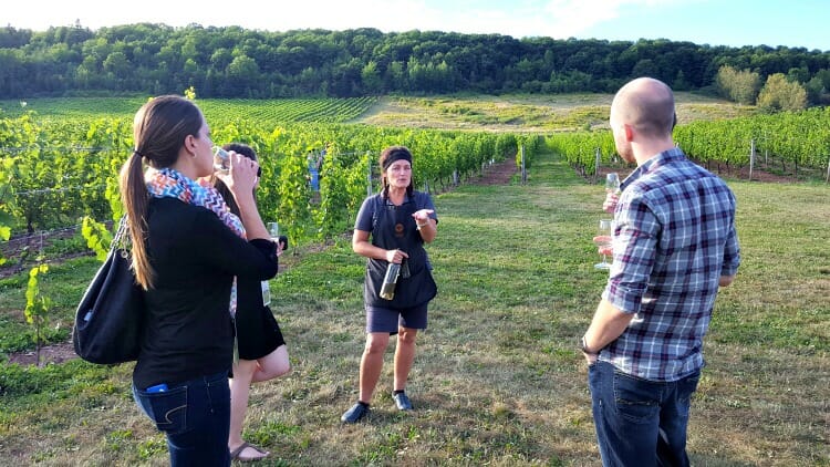 photo, image, gaspereau vineyards, food and wine travel planning 