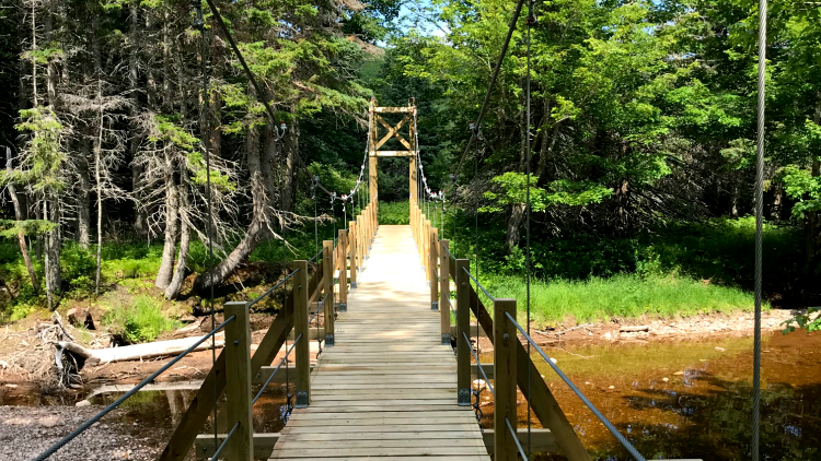 photo, image, suspension bridge, canadian maritimes road trip